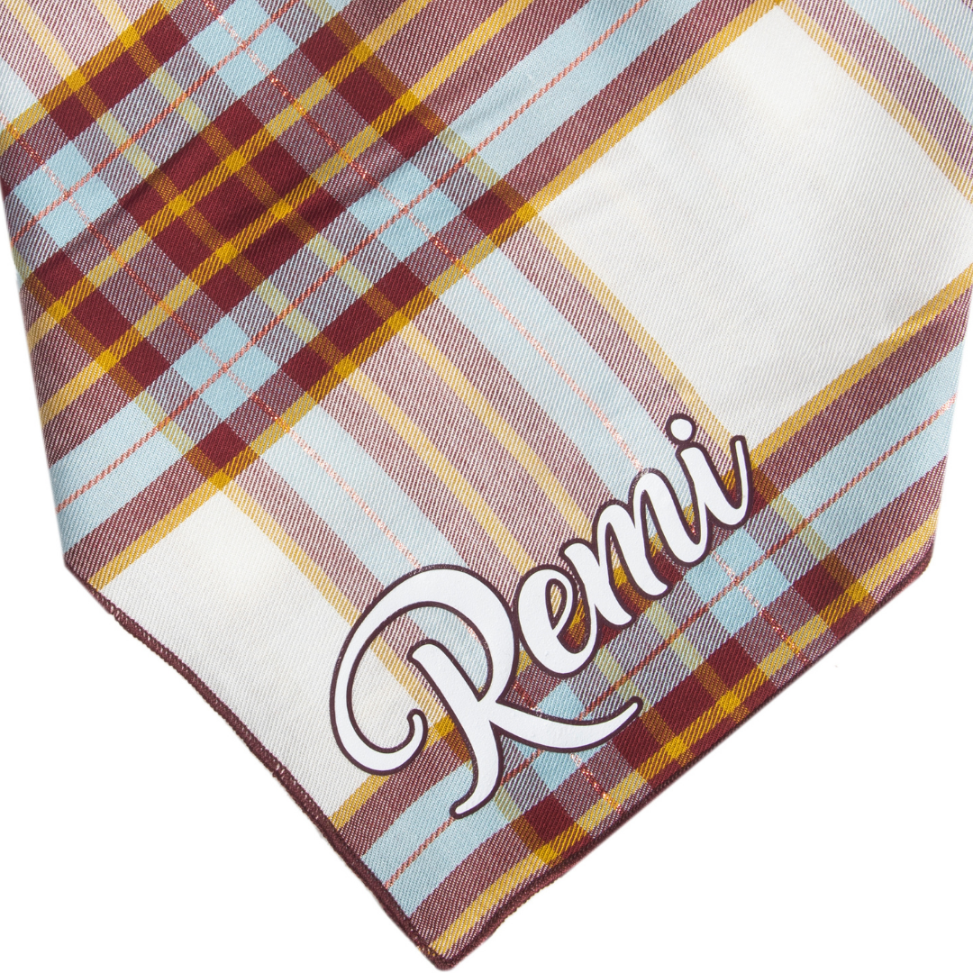 Sinners welcome  Pet Bandana for Sale by Parametric