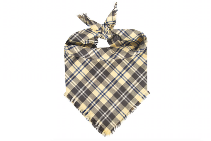 Buttercup Flannel Fray
