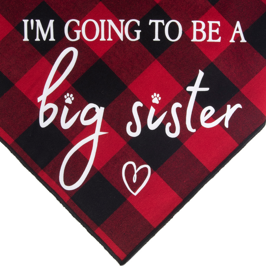 I'm Going to be a Big Sister - Red/Black