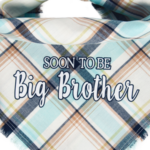 Soon To Be Big Brother - River Fray