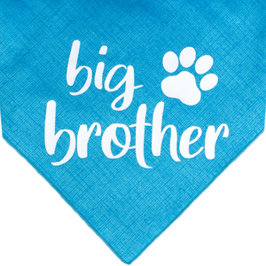 Big Brother - Blue