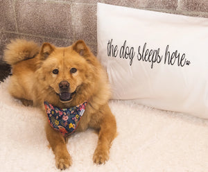 The Dog Sleeps Here Pillow Case Set (right side)