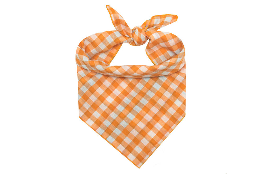 Clementine Reversible