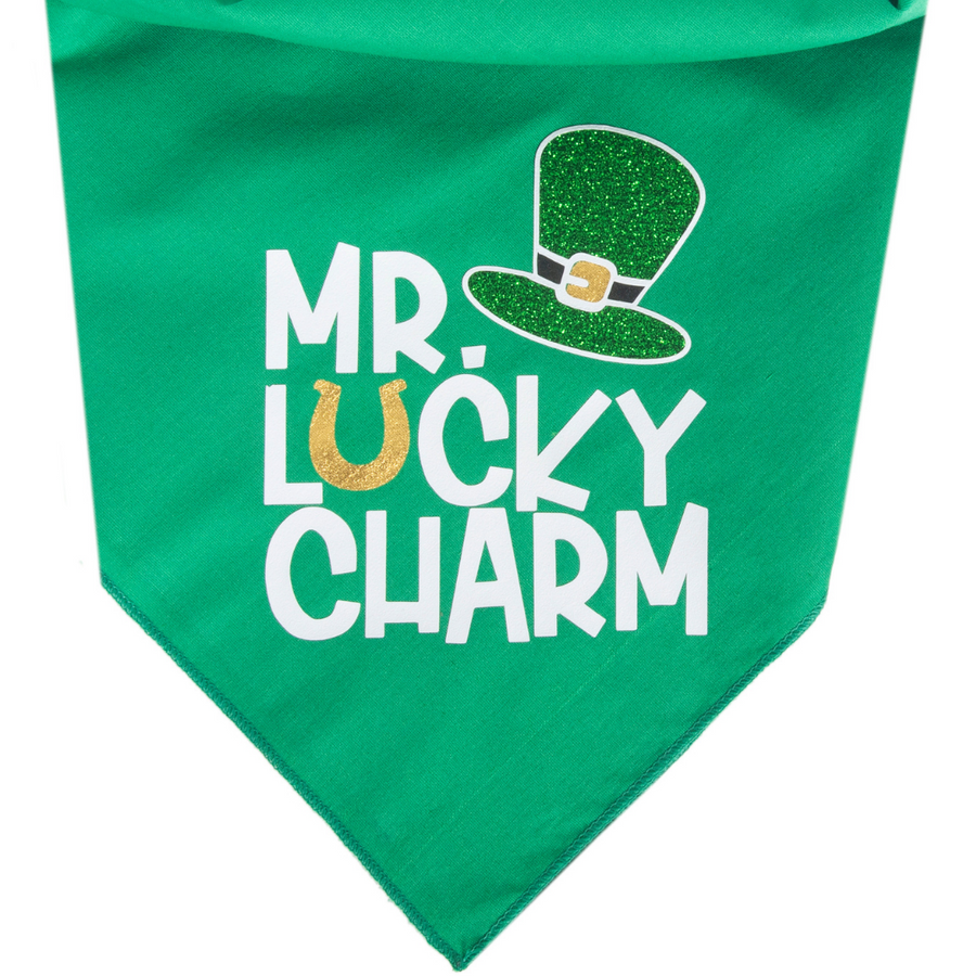 Mr. Lucky Charm