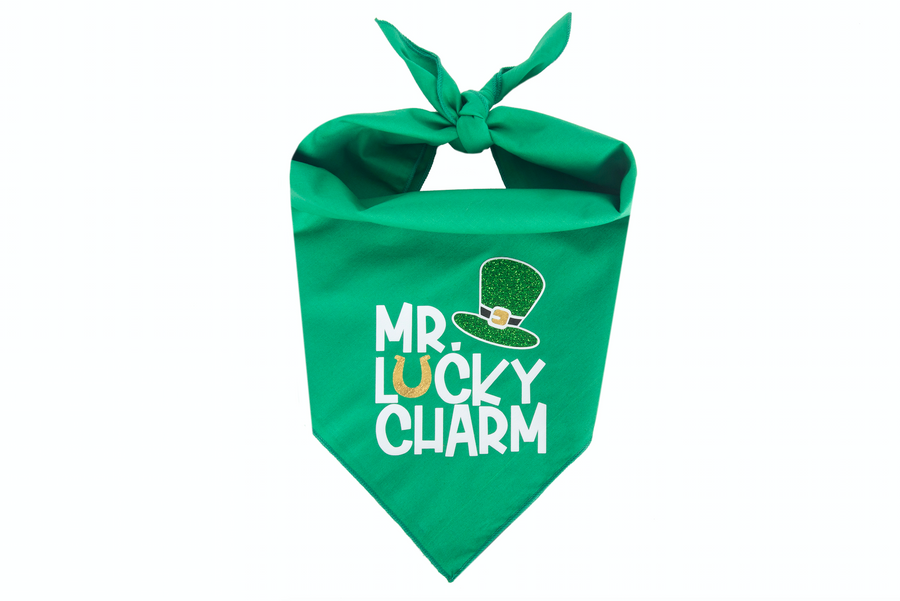 Mr. Lucky Charm