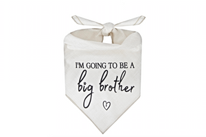 I'm Going to be a Big Brother - Ivory