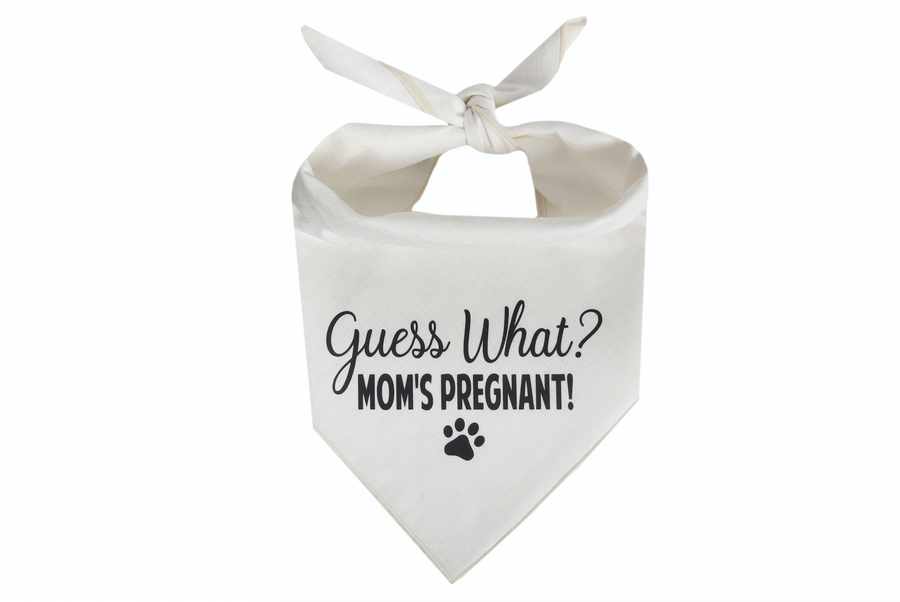 Guess What? Mom's Pregnant!