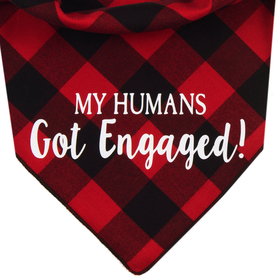 My Humans Got Engaged! (Red)