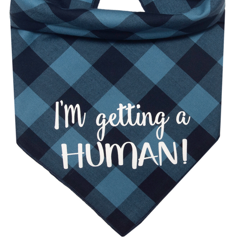 I'm Getting a Human! (Blue)